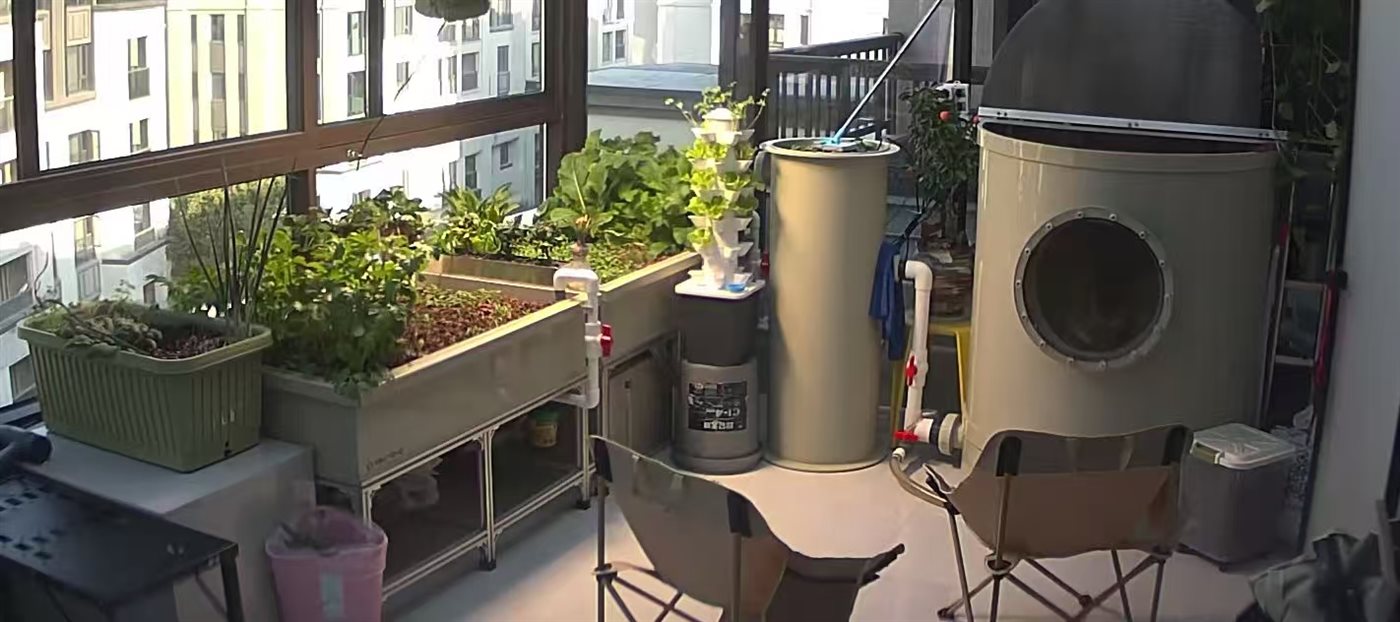 iAquaponic complete aquaponic system in greenhouse with grow beds and fish tank