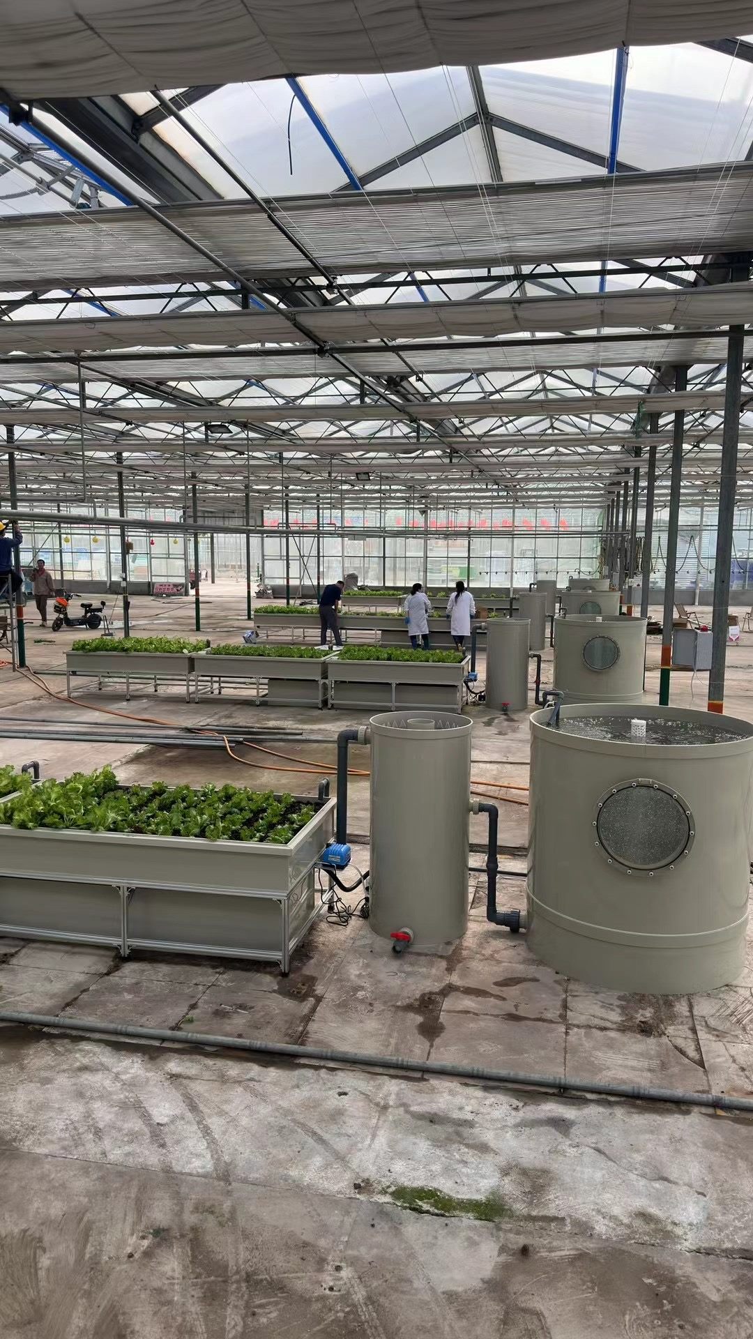 iAquaponic 4-Ton commercial aquaponic system for farms